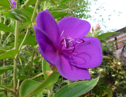 c0042418_165673.jpg