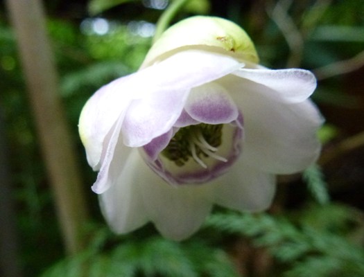 c0042418_1682769.jpg