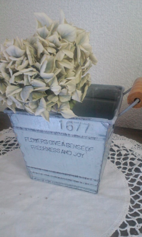 e0050324_112615.jpg