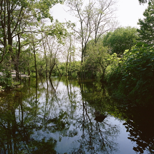f0182924_23233027.jpg