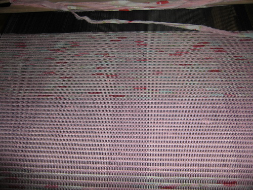 e0190625_525969.jpg