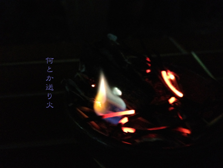 d0042827_4273125.jpg