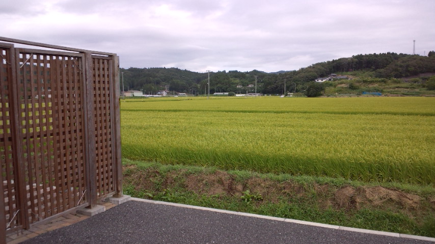 a0248728_053027.jpg