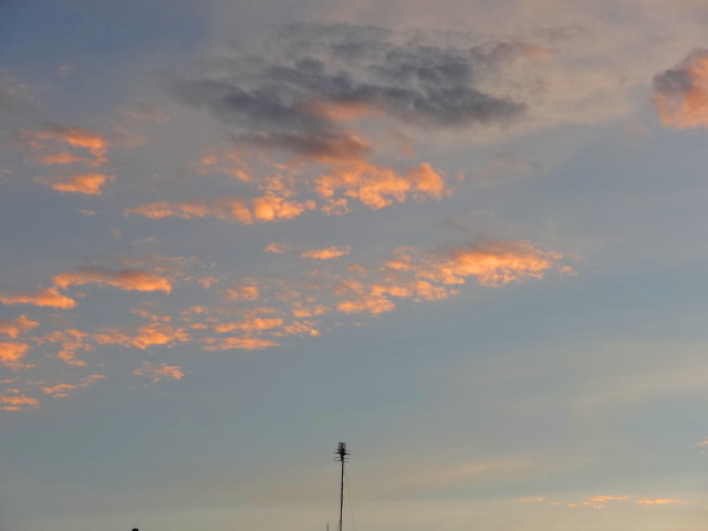 e0016828_15553565.jpg