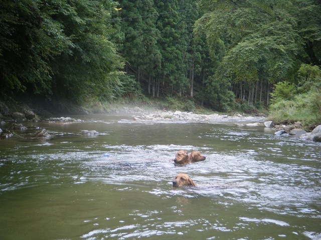 b0127531_2142833.jpg