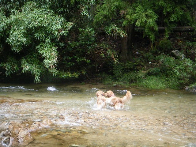 b0127531_2223037.jpg