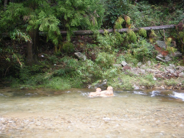 b0127531_2242070.jpg