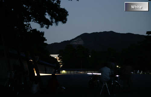 c0227134_4504848.jpg