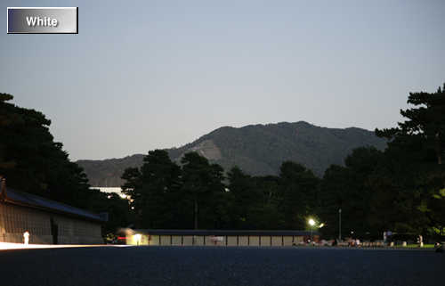 c0227134_451592.jpg