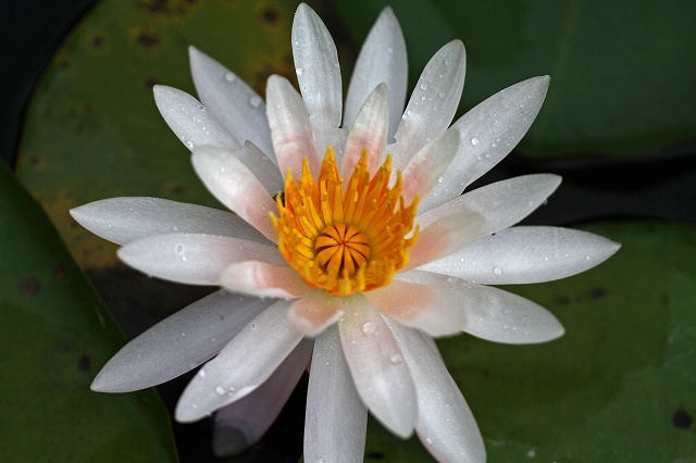 a0242438_1940408.jpg