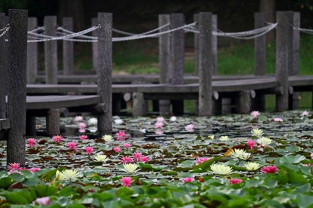 a0242438_194165.jpg