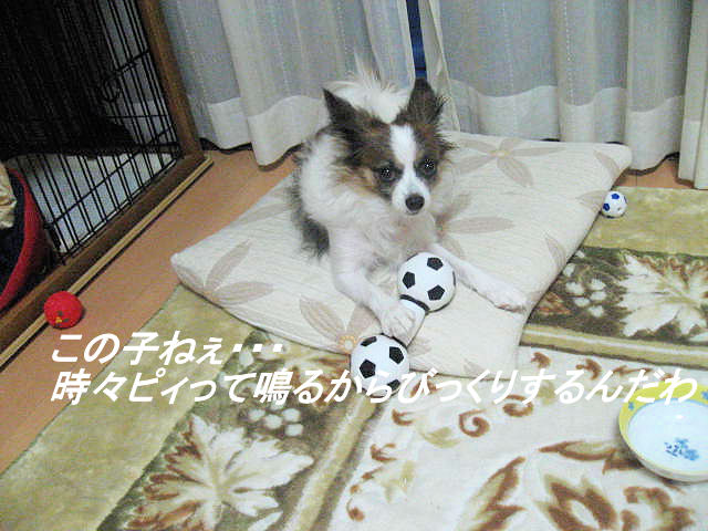 a0149240_2024538.jpg