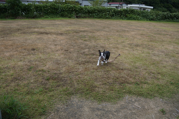 d0273046_19214845.jpg