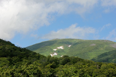 a0054647_953428.jpg