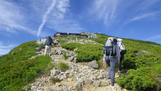 c0042847_8395519.jpg