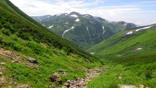 c0042847_9101526.jpg