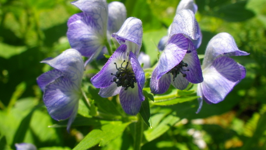 c0042847_9121080.jpg