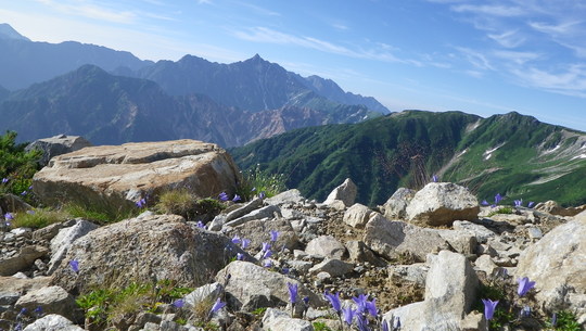 c0042847_993468.jpg
