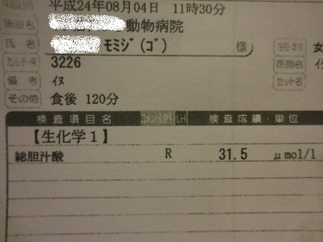 e0169149_22182133.jpg