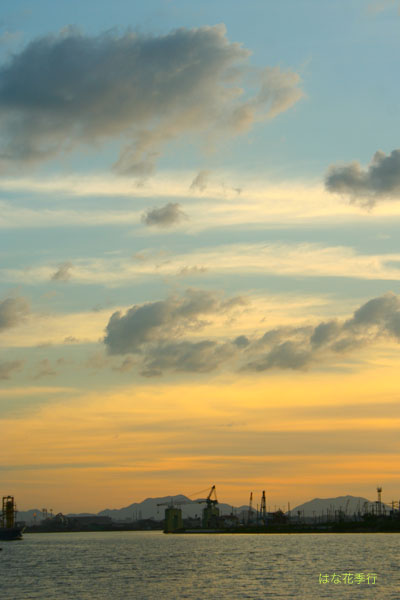 d0036450_1192798.jpg