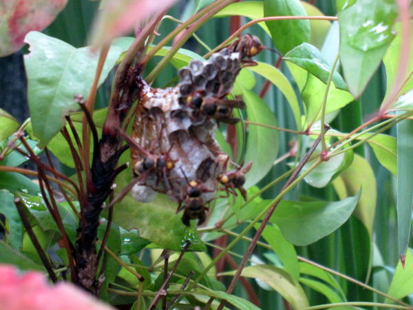 c0147952_20185418.jpg
