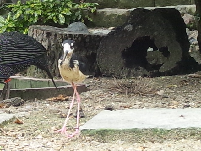 b0253057_6593770.jpg