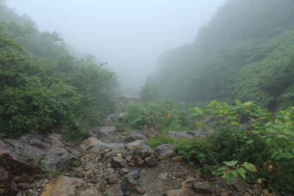 e0239458_2155672.jpg