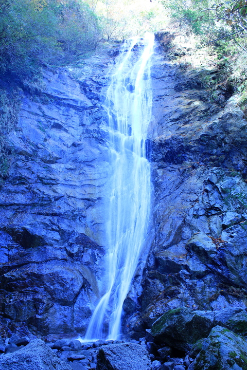 a0248459_19523010.jpg