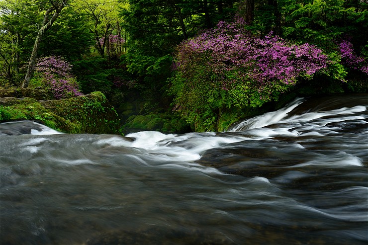 f0222161_14275235.jpg