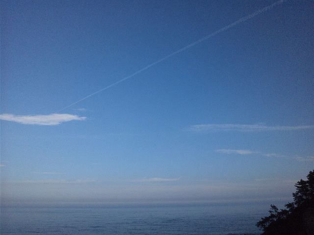 d0247876_2339453.jpg
