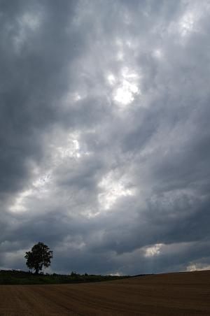 c0175679_11222420.jpg