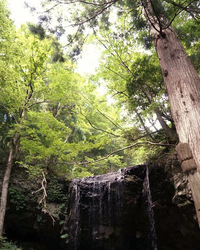 c0211283_23174075.jpg