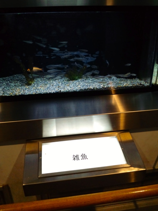 c0019089_20214426.jpg