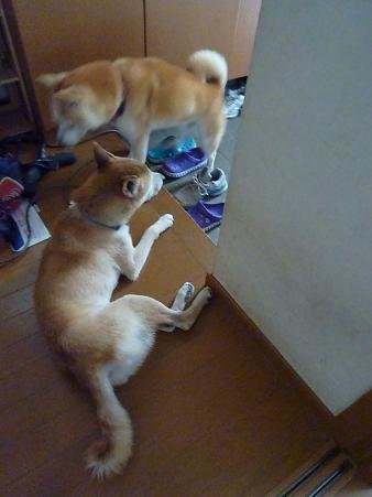 c0123890_20111436.jpg