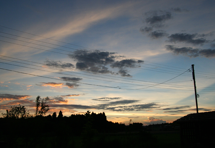 d0100095_14412968.jpg