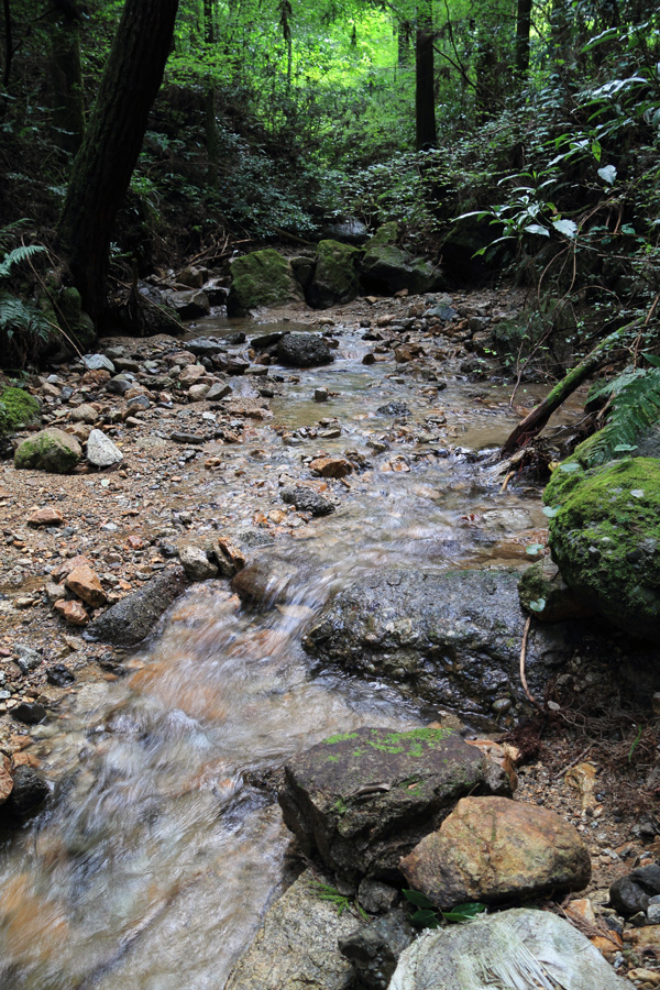 d0192097_2151811.jpg