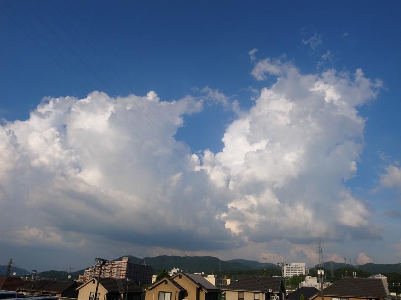 b0211800_1042654.jpg