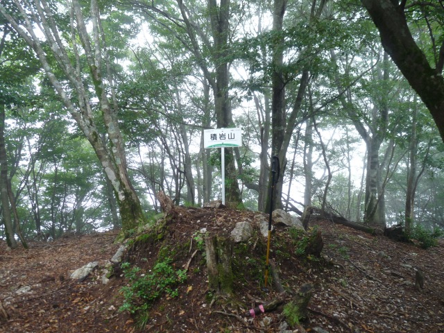 b0025101_0121319.jpg