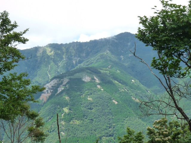 b0025101_062643.jpg
