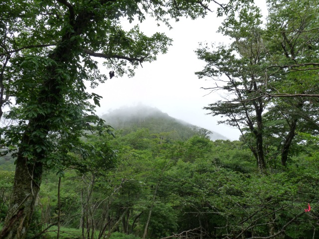 b0025101_081767.jpg