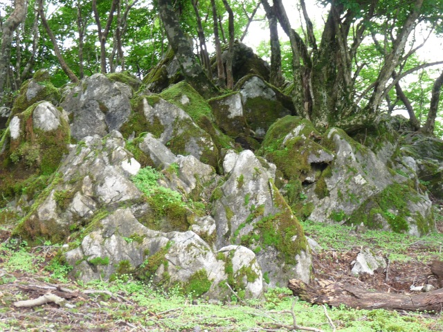 b0025101_085248.jpg