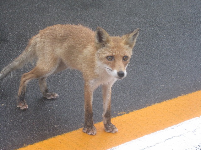 f0202703_2329113.jpg
