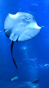 c0184211_1823304.jpg