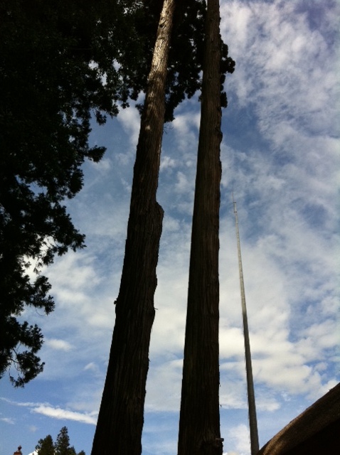 e0241511_20364829.jpg