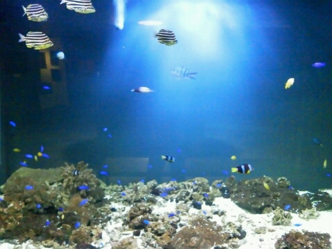 e0097319_22364653.jpg