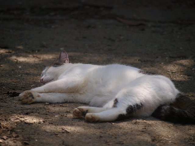 b0187620_22375128.jpg