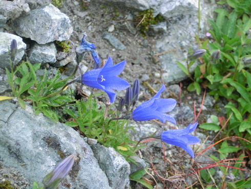 f0056321_2039822.jpg
