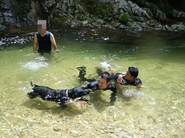 b0127531_16165511.jpg
