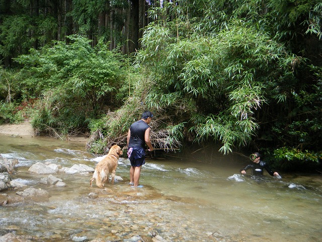 b0127531_16242715.jpg