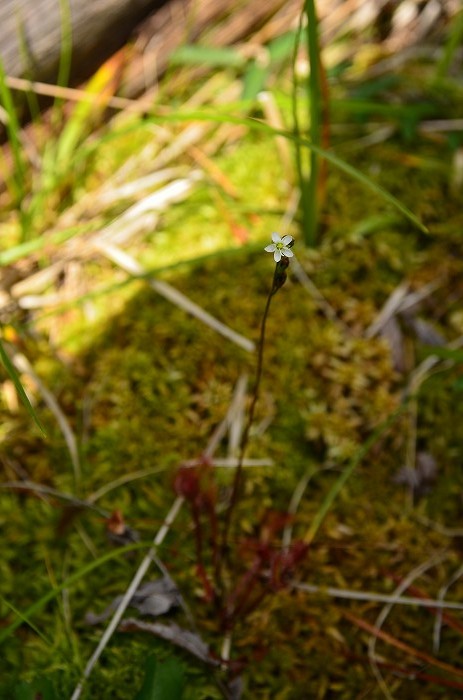 b0236334_162125.jpg